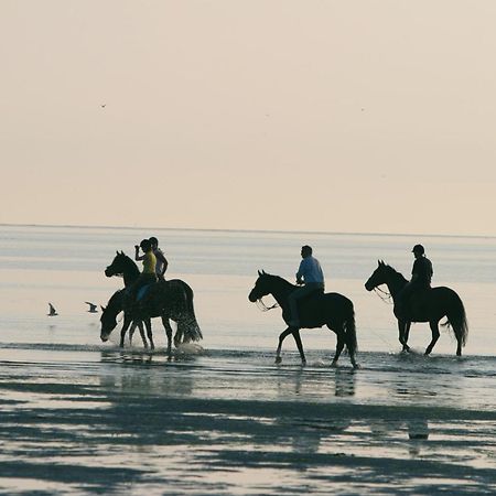 Bed & Breakfast Van Marion โอสท์วอร์เนอ ภายนอก รูปภาพ